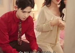 【我陪老公东山再起】50集免费短剧在线观看