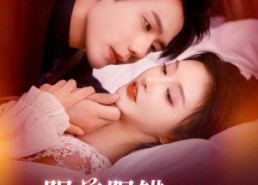 【阴差阳错成了老板的女仆】83集免费短剧在线赏看