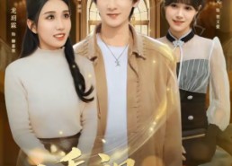 【透视医婿】81集短剧完整版在线播放