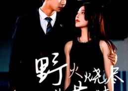 【野火烧尽芳草时】65集免费短剧完整观览