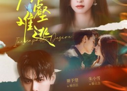 【欲壑难逃】64集短剧免费高清在线看