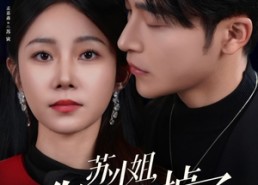 【苏小姐你老公掉了】80集短剧免费在线追看