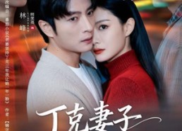 【丁克妻子的秘密】60集短剧免费全集在线观赏