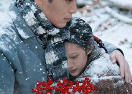 【兴安岭猎王】84集免费短剧全集在线高清赏