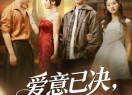 【爱意已决不再相望】70集短剧完整版在线赏看