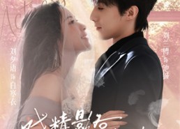 【戏精影后请就位】60集短剧免费全集在线速看