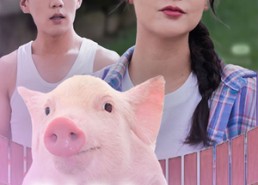 【博士毕业我靠养猪上巅峰】66集短剧全集免费览看