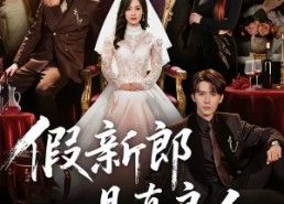 【假新郎是真良人】67集短剧在线播放无广告版