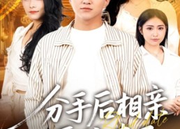 【分手后相亲系统来了】81集短剧全集免费看