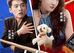 【少夫人不好惹】61集在线短剧免费畅看