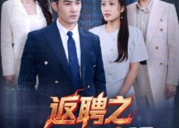 【返聘之代码英雄】37集免费短剧在线完整观看