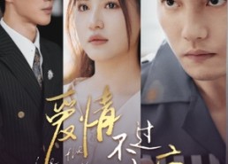 【爱情不过一种疯】96集短剧全网在线完整观看