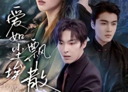 【爱如尘埃飘散】64集短剧免费全集享看