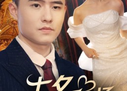 【七夕我在结婚现场掀桌子】81集短剧免费在线完整看