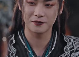 【不负昭华】52集在线免费短剧全集览观