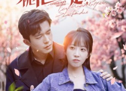 【桃花门前是非多】87集短剧全集免费在线观