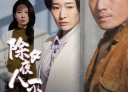 【除夕夜人不归】47集短剧资源在线赏看