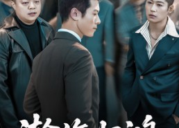 【瀚海归鸿】74集免费短剧在线追看