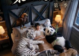 【完了，这破农场来的全是祖宗！】100集短剧免费全集畅快观看
