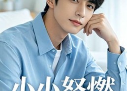 【小小怒燃】19集短剧免费在线追看