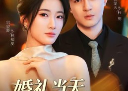 【婚礼当天，我撤回一个亿】51集免费短剧完整版观看