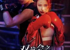 【双龙会之凤鸣龙吟】80集高清短剧免费畅看