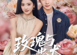 【玫瑰与忠犬】80集短剧免费在线高清观看