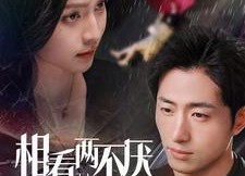 【相看两不厌】80集短剧免费尽情观看