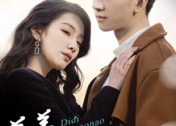 【弟弟不要闹】43集短剧免费全集在线速看