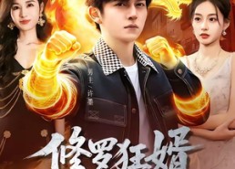 【修罗狂婿】114集短剧高清全集在线赏