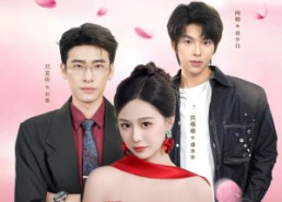 【漂亮后妈甜翻全家】81集短剧免费全集快看