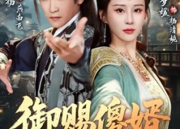 【御赐S婿】81集短剧免费在线观看盛宴