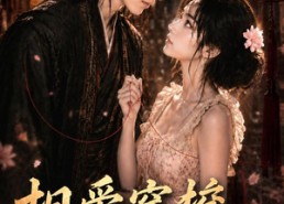 【相爱穿梭两千年】56集短剧免费随时赏看