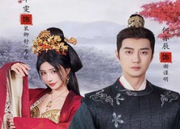 【相见欢】61集短剧全集在线高清播放