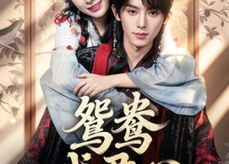 【鸳鸯戏君心】60集短剧免费全集赏看