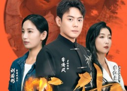 【龙升】90集短剧全集免费在线赏