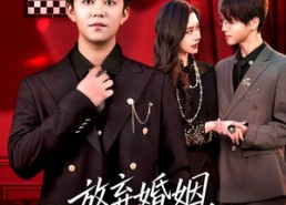 【放弃婚姻，系统赠我开挂人生】60集在线短剧免费看全