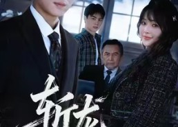 【斩龙：以父之名】85集短剧高清在线速览