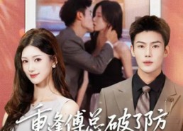 【重逢傅总破了防，花式追妻】86集短剧免费在线追看