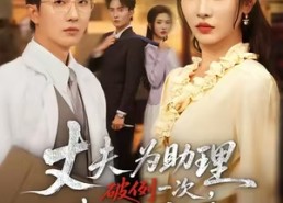 【夫为助理破例一次，我提了离婚】60集完整短剧免费在线览