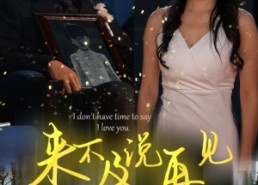 【来不及说再见】30集免费短剧在线全集欣赏