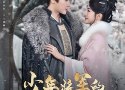 【少年将军的失忆小青梅】100集短剧免费全集悦看