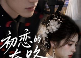 【初恋的套路】82集短剧免费高清在线观看