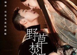 【野草焚尽】74集短剧免费畅享在线观