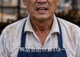 【回乡养殖：喵喵大王成为村中一霸】80集短剧在线免费完整观看
