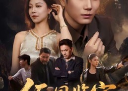 【缅国鉴宝，我老婆是帮派大小姐】78集热门短剧全集在线看