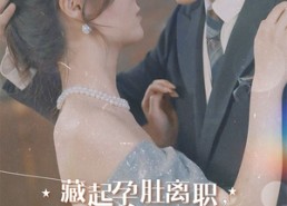 【藏起孕肚离职，霍总急疯了】93集短剧免费全集直映