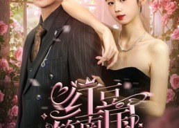 【红豆笙南国】64集短剧免费全集观瞧