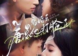 【离婚后唐总他打脸了】100集短剧免费全集随心看