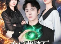 【女总裁赌石，把我开出来了】76集短剧在线免费追剧
